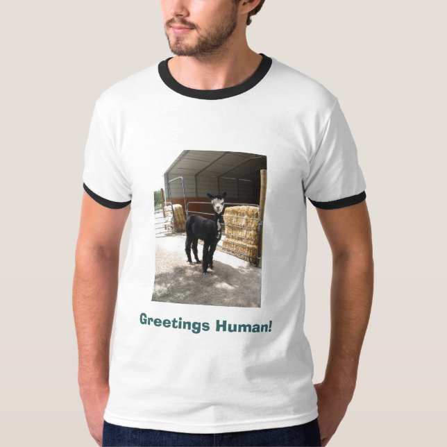 Cumprimentos humanos! camisa da alpaca (Frente)