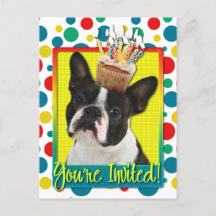 Cupcake do convite - Boston Terrier