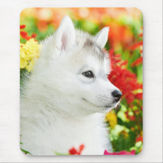 Cupido Siberiano em Flores Mousepad