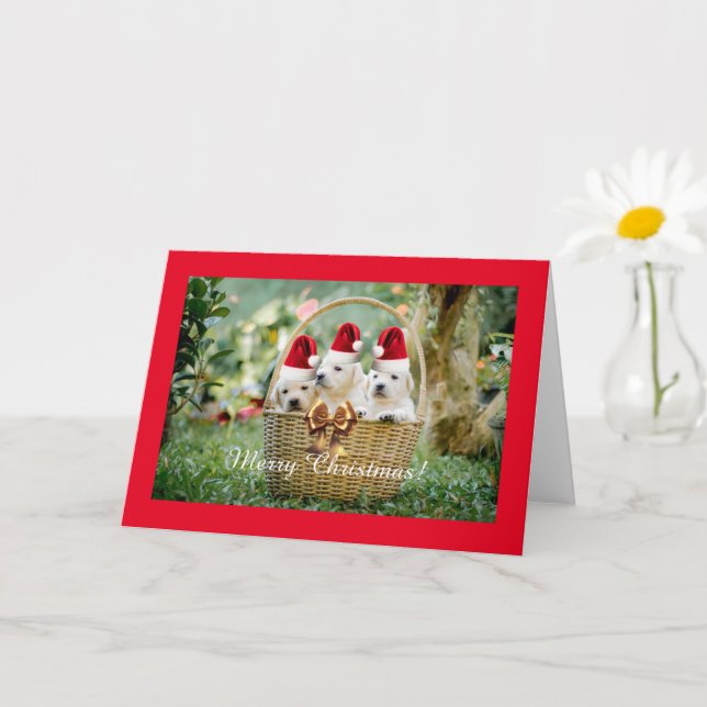 Cuppies Para Natal, Cartão Dobrado De 5" x 7" (Planta pequena)