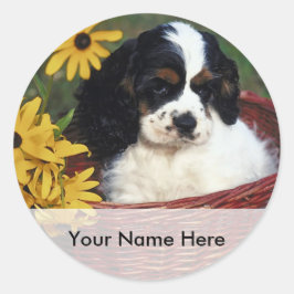 Cuppy e Flores num adesivo em placas de bolso