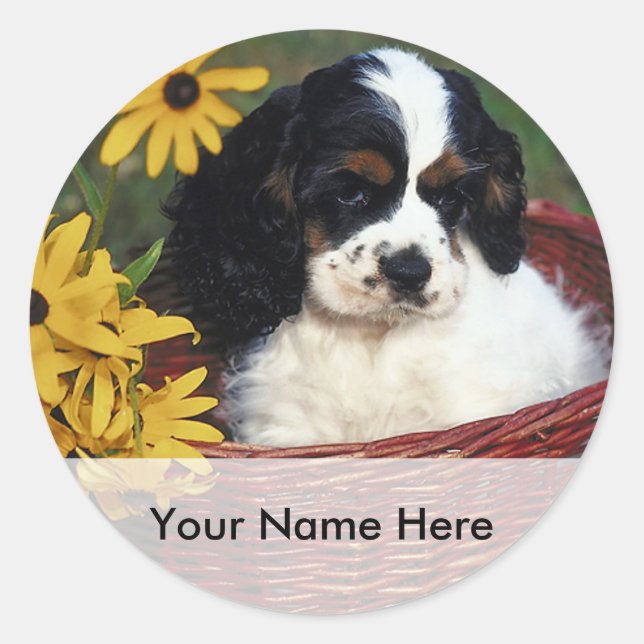 Cuppy e Flores num adesivo em placas de bolso (Frente)