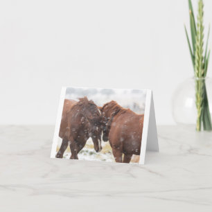 Curinga Selvagem no Cartão de Neve