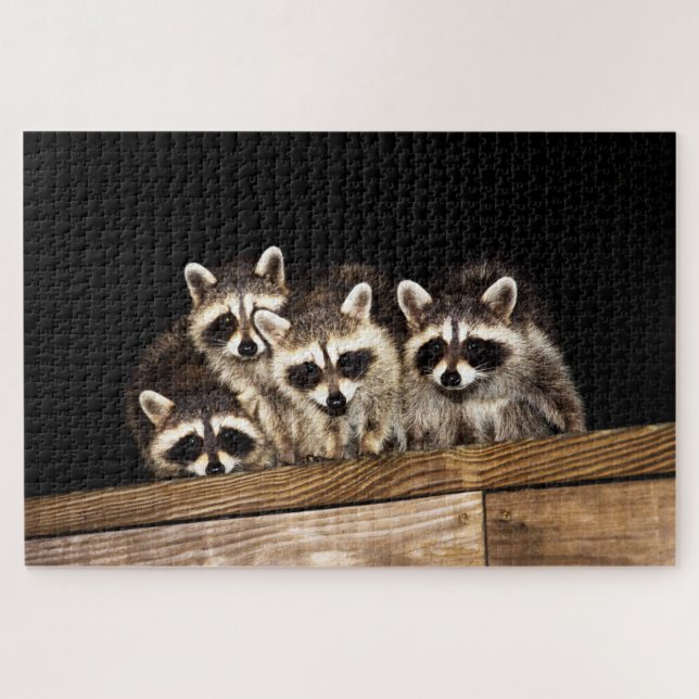 Curiosa família Raccoon, Quebra-cabeça de Jigsee (Horizontal)