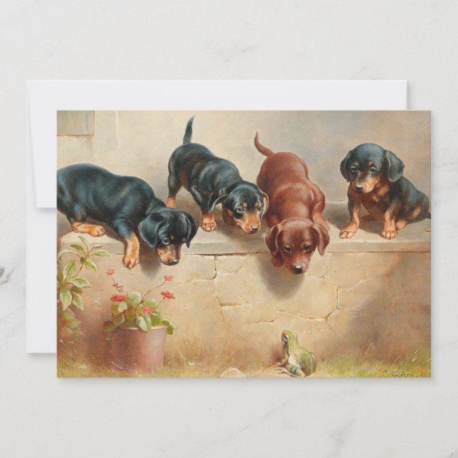 Curioso Dachshund Puppies | Carl Reichert (Frente)