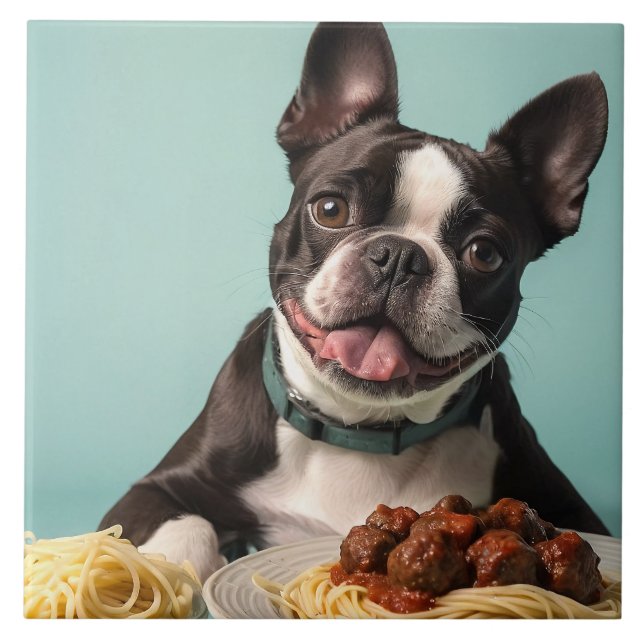 Curioso Terrier de Boston com espaghetti Bolognais (Frente)
