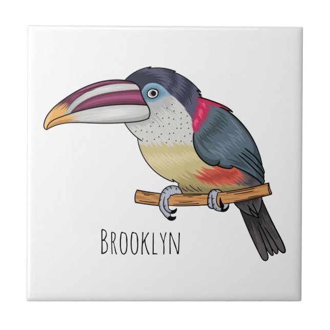 Curl crested aracari bird cartoon illustration  (Frente)