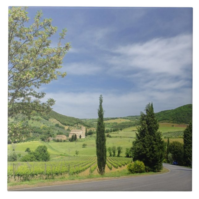 Curvagem por estrada nacional entre ciprestes (Frente)