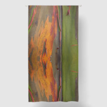 Curvas de Blecaute Eucalipto