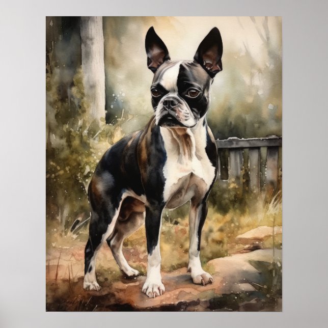 Custa Boston Terrier Dog Art Impressão Poster (Frente)
