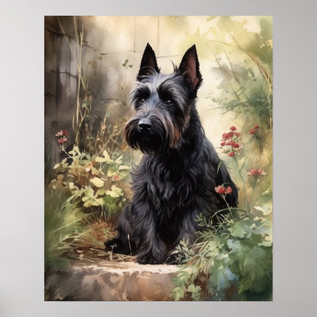 Custa escocesa Terrier Dog Art Impressão Poster (Frente)