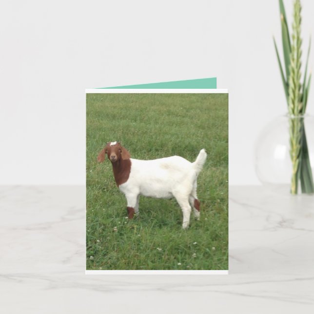 Custa-me buscar o cartão de nota (Frente)