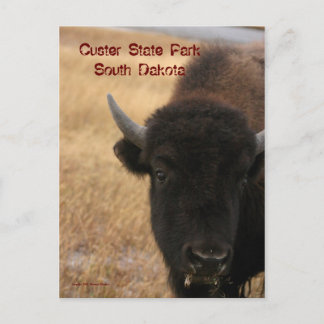 Custer State Park, Cartão postal de Dakota do Sul