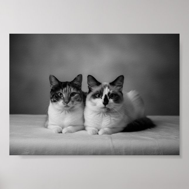 Custom 4K Black & White Pet Portrait Poster – Prof (Frente)