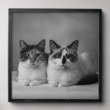 Custom 4K Black & White Pet Prof Peel and Stick