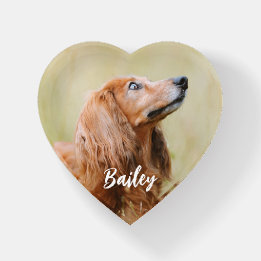 Custom Pet Photo Personalized