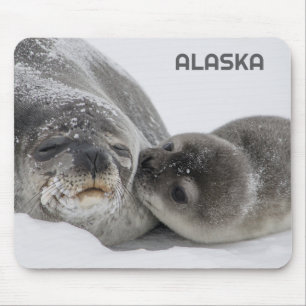 Cute Alaska Bebê Foca e Mãe Mouse Pad
