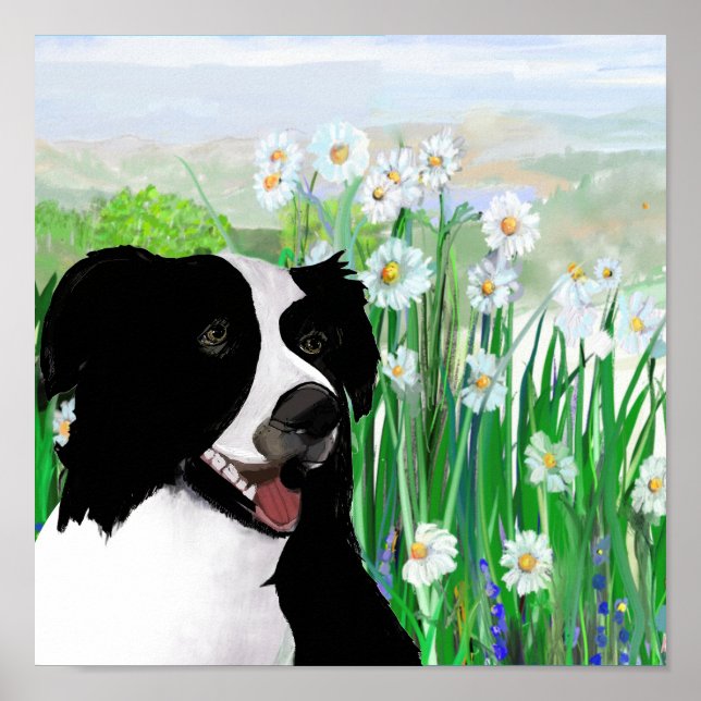 Cute, Border Collie Daisies Wall Art Poster (Frente)