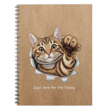 Cute Cat Notes - Caderno de Fotos Espiral