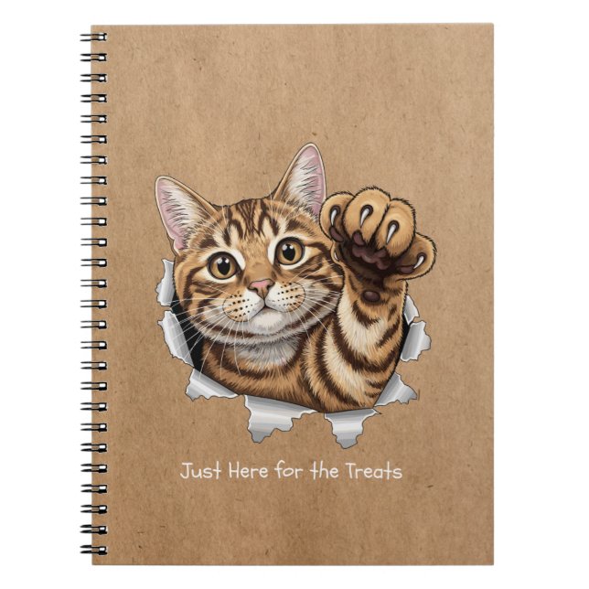Cute Cat Notes - Caderno de Fotos Espiral (Frente)