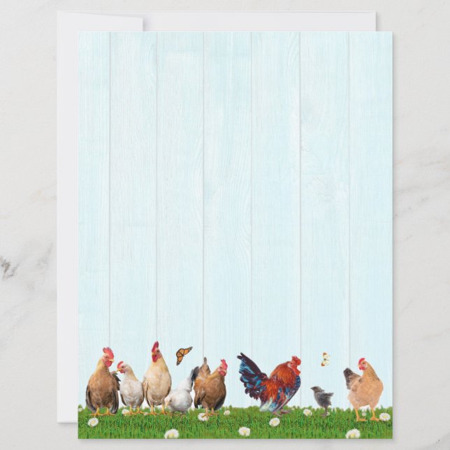 Cute Chicken Stationery - Added Cat on Back (Frente)