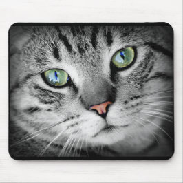 Cute Cinza Kitty Gato Face Mouse Pad