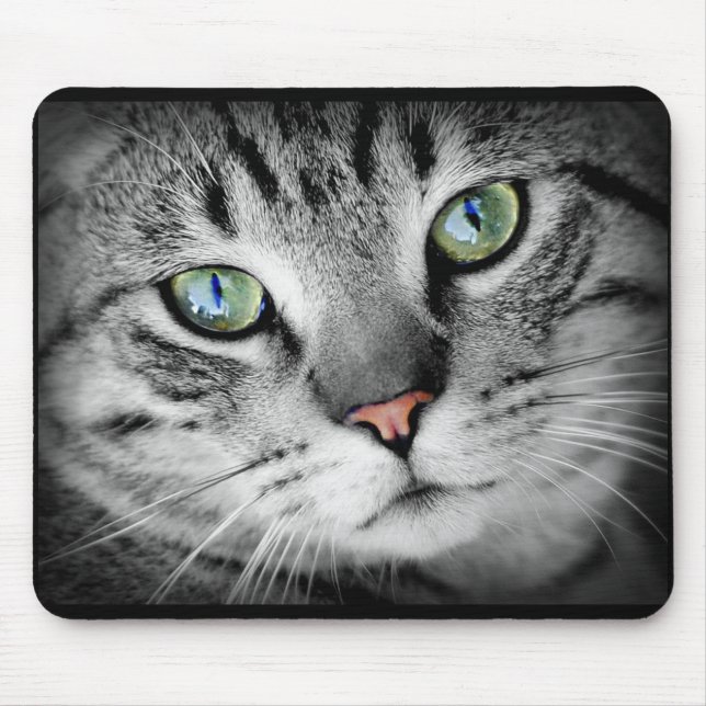 Cute Cinza Kitty Gato Face Mouse Pad (Frente)