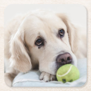 Cute Dog porta-copos 7