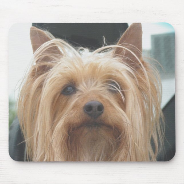 Cute Doggie Mousepad (Frente)