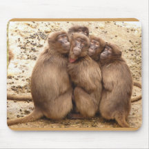 Cute Grupo de Macacos Mouse Pad