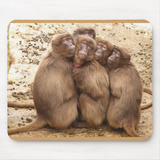 Cute Grupo de Macacos Mouse Pad (Frente)