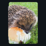 CUTE HEDGEHOG<br><div class="desc">Um ouriço giro gostando de uma grande refeição de preferencialmente!</div>