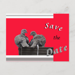 Cute Lovebirds SAVE THE DATE Cartão Postal