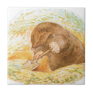 Cute Mole (Arte Animal para Crianças) (Beatrix Pot