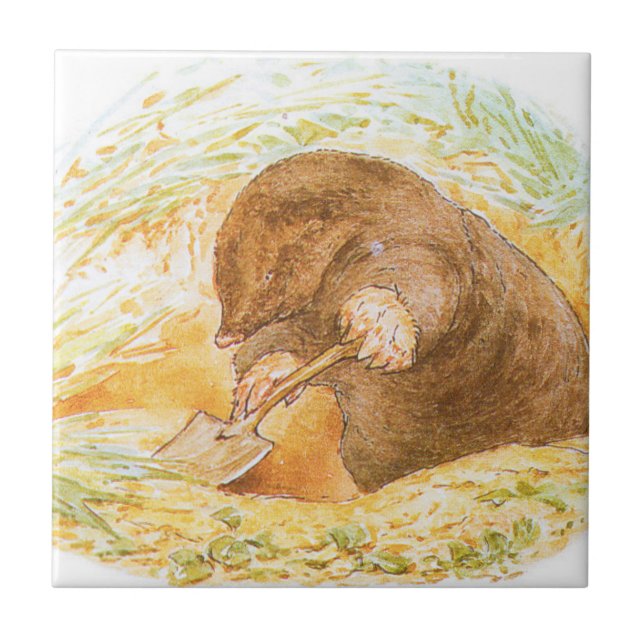 Cute Mole (Arte Animal para Crianças) (Beatrix Pot (Frente)