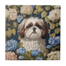 Cute Shih Tzu Puppy Blue hydrangea flores