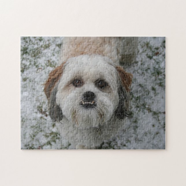 Cute Shih Tzu Underbite Quebra-cabeça (Horizontal)