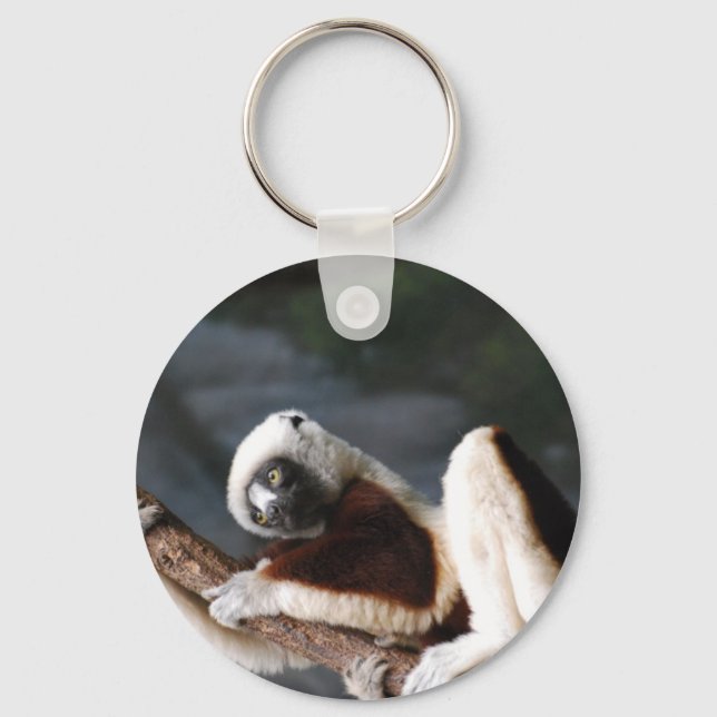 Cute Sifaka Lemur Chaveiro (Frente)