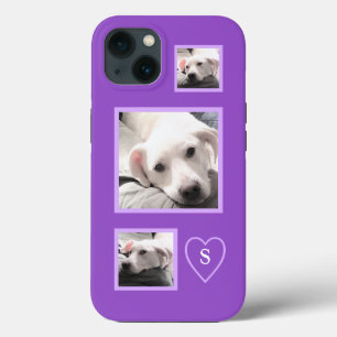 Cute Três Fotos de Cachorro Branco Cachorro Roxo