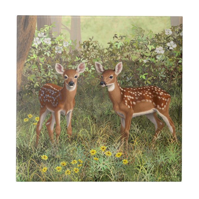 Cute Whitetail Deer Twin Fawns (Frente)
