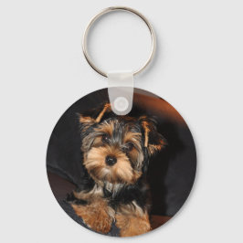 Cute Yorkie Yorkshire Terrier Dog Chaveiro