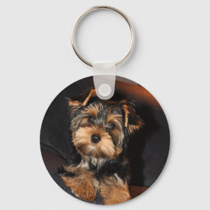 Cute Yorkie Yorkshire Terrier Dog Chaveiro