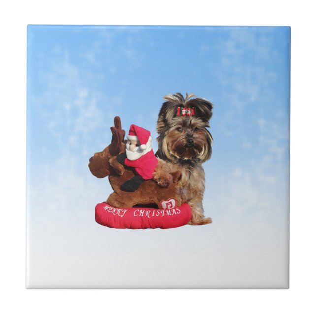 Cute Yorkshire Terrier Felry Natal (Frente)