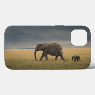 Cutest Baby Animals   African Elephant Family