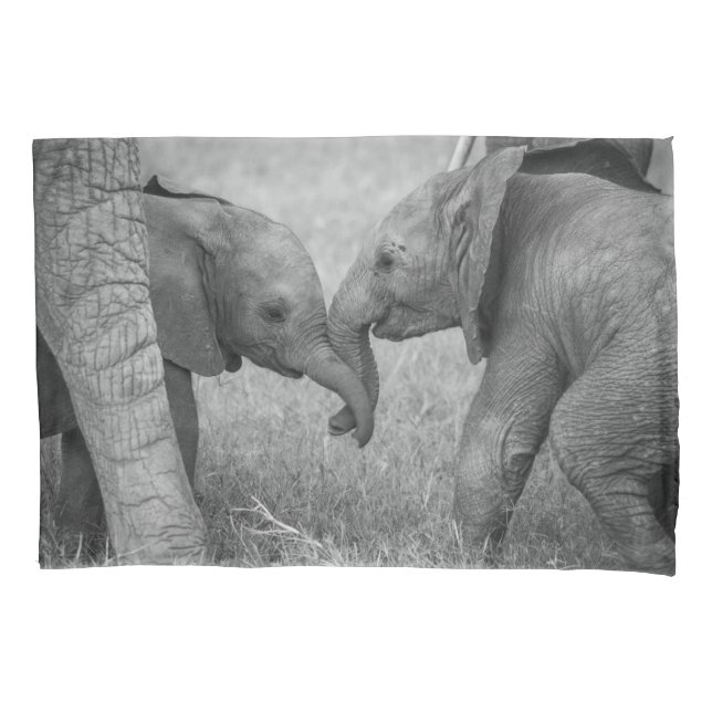 Cutest Baby Animals | Baby Elephants Greeting (Frente)
