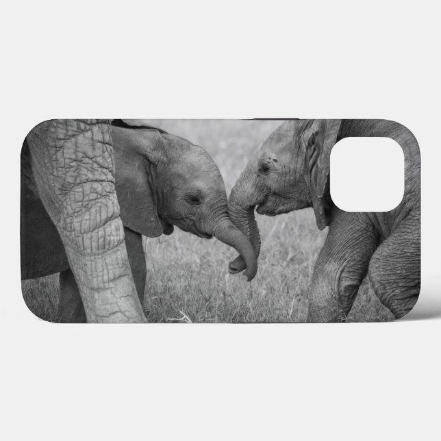 Cutest Baby Animals | Baby Elephants Greeting (Verso (horizontal))