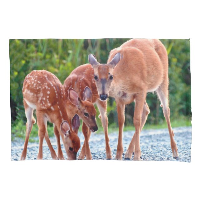 Cutest Baby Animals | Fawn with Babies (Frente)
