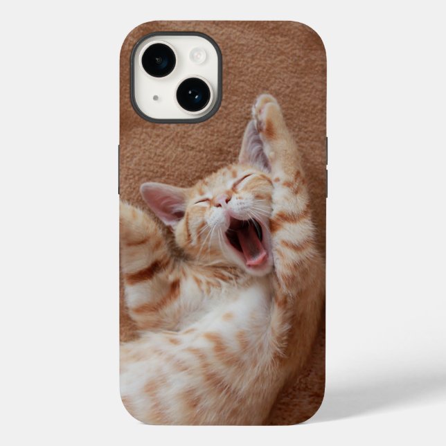 Cutest Baby Animals | Ginger Kitten Yawning (Verso)