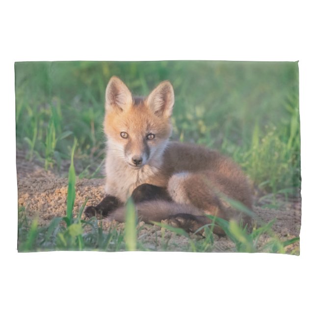 Cutest Baby Animals | Red Fox Kit Relaxing (Frente)