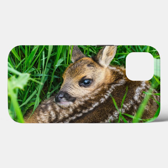 Cutest Baby Animals | Roe Deer Baby (Verso (horizontal))